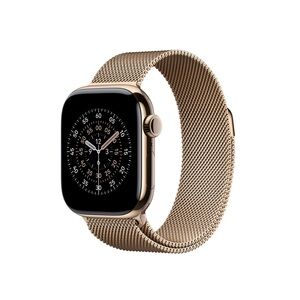 Apple Stainless Steel Watch Band